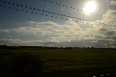 DSC_7175 (Large).JPG